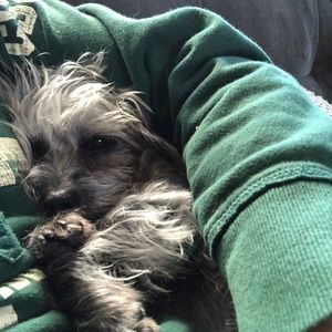 Meet your Posher, Shiva